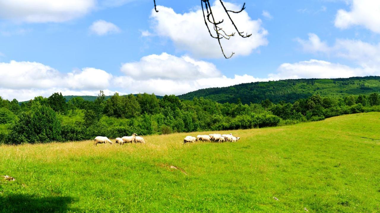 Natura Hause غاكوفيتسا المظهر الخارجي الصورة