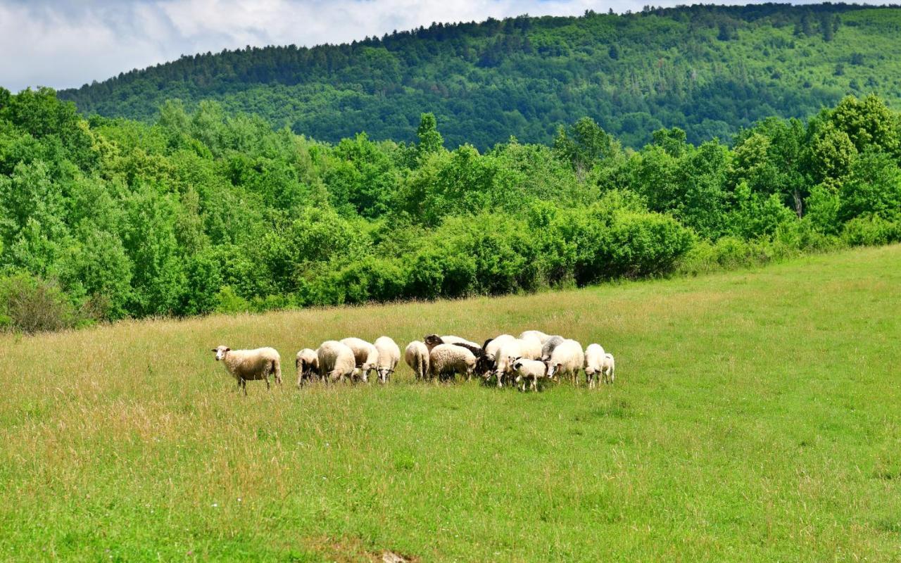 Natura Hause غاكوفيتسا المظهر الخارجي الصورة