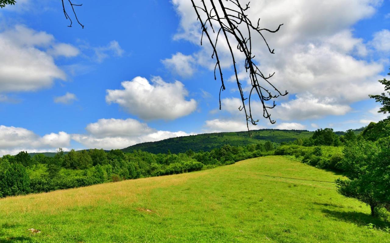 Natura Hause غاكوفيتسا المظهر الخارجي الصورة